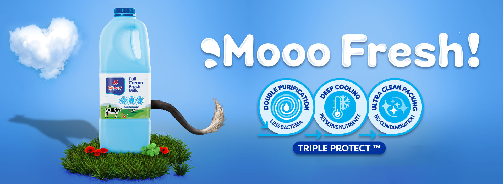 Clover Products Range, Brands & Recipes Clover Corporate